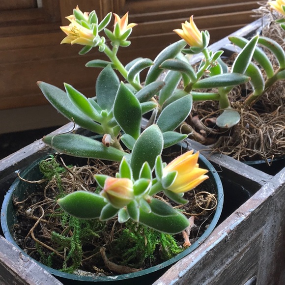 Great items just in time for WINTER ❄️☃️❄️ - Picture 4 of 8